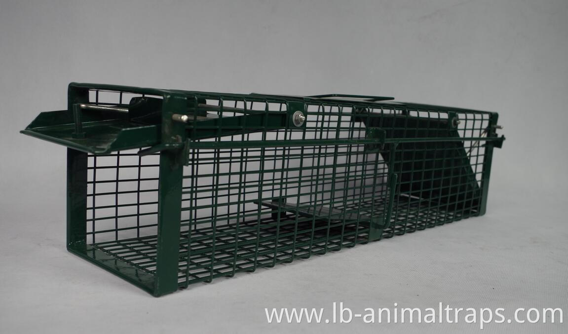 humane live multi catch wire mesh metal mouse rat animal trap cage Green PVC Live Badger Cage Trap